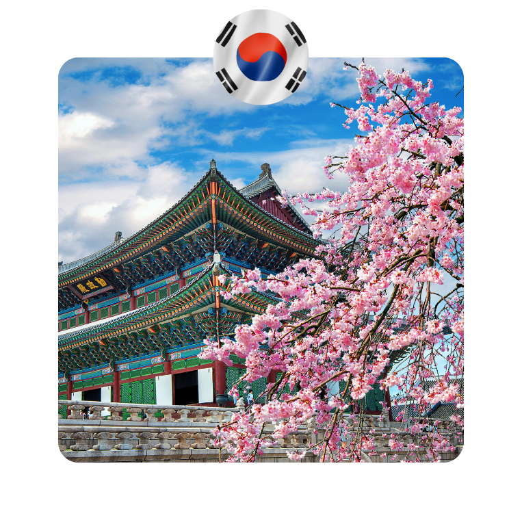 Esim Hàn Quốc - Hình ảnh 2