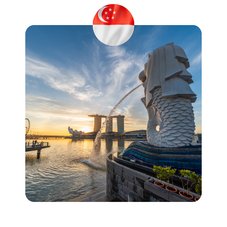 Esim Singapore - Hình ảnh 2